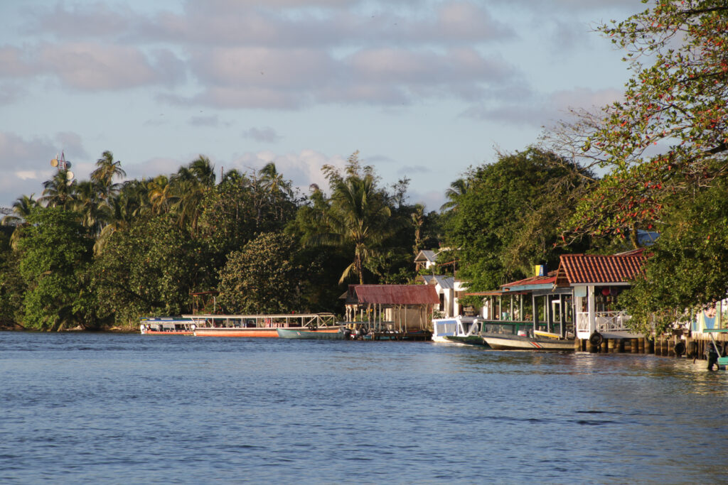 Tortuguero