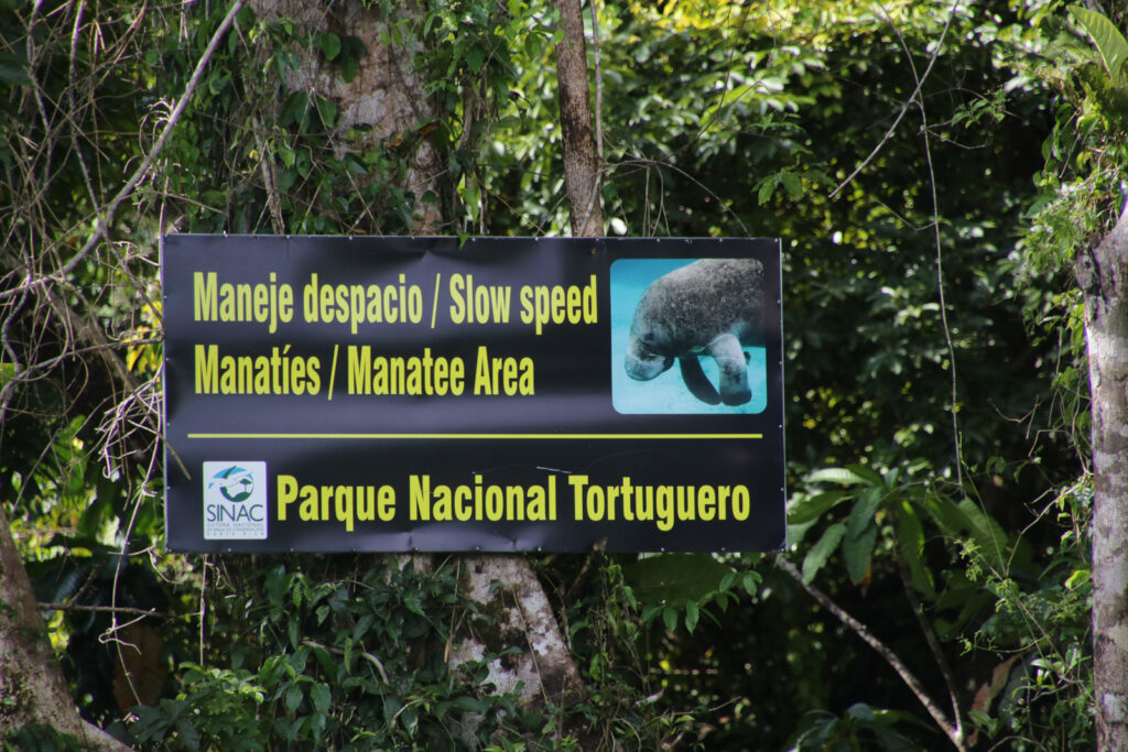 Tortuguero