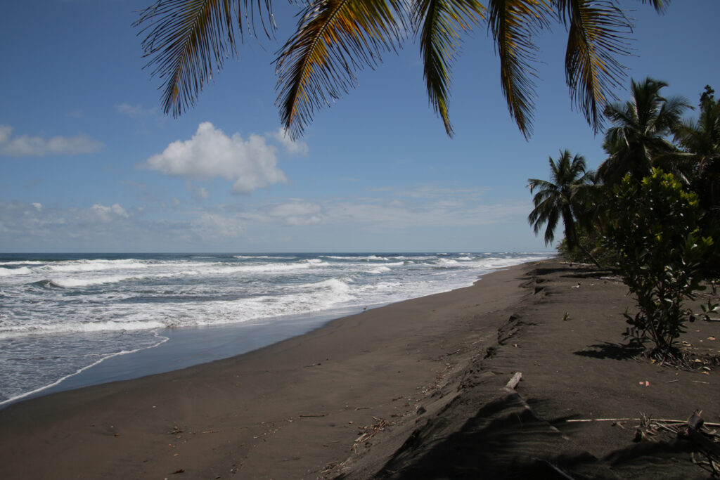 Tortuguero