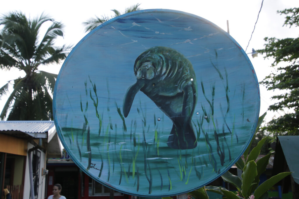 Tortuguero