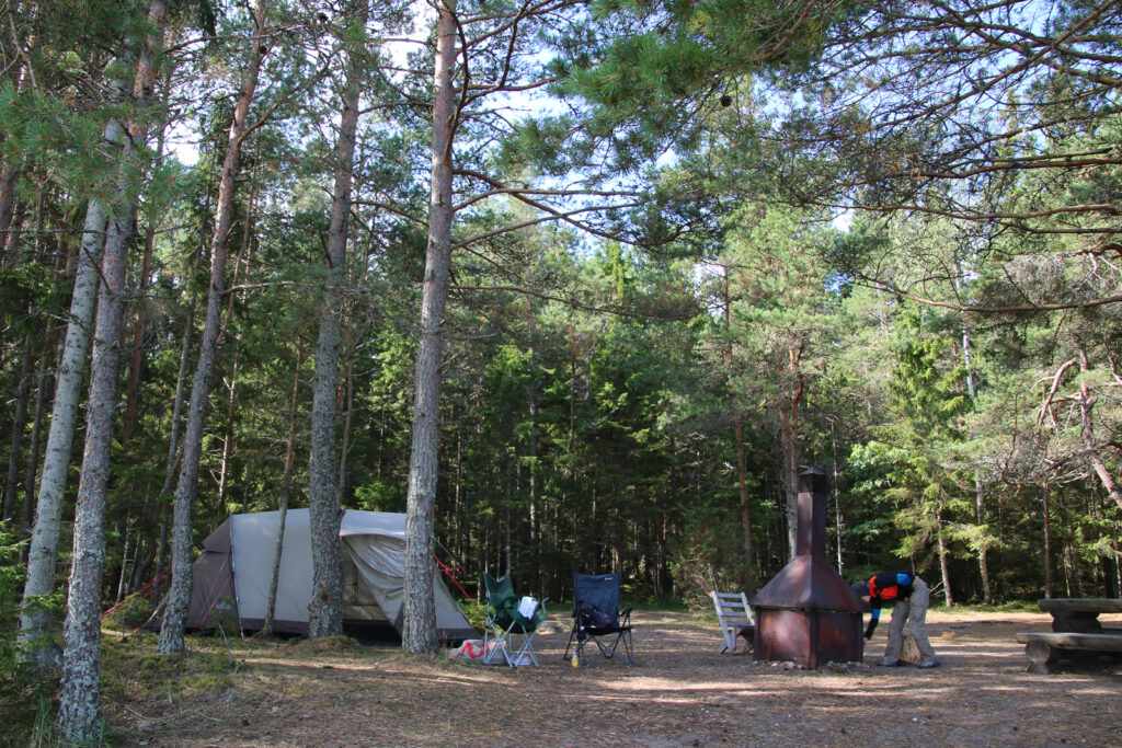 Genialer freier Camping - Griller und Fuchsbesuch inklusive