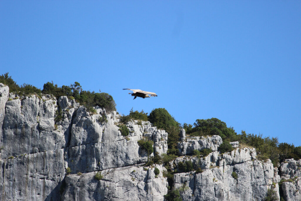 Gerorges du Verdon