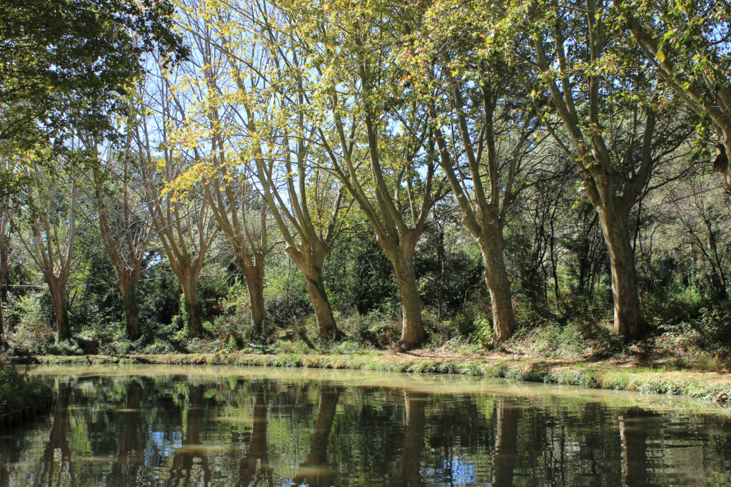 Hausbootfahrt am Canal du Midi