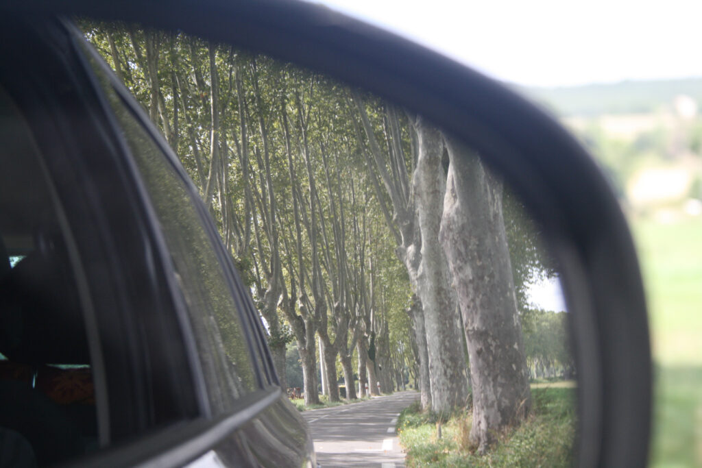 Ansicht einer Allee