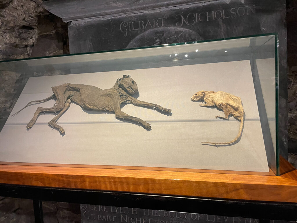 Tom und Jerry in der Christ Church Cathedral