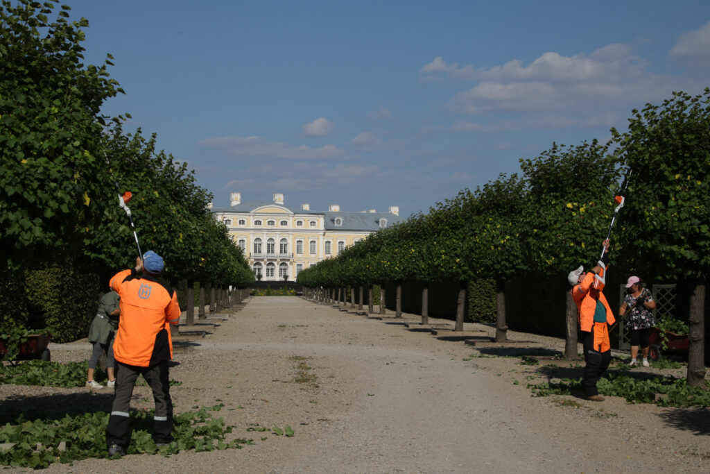 Der Garten will gepflegt werden