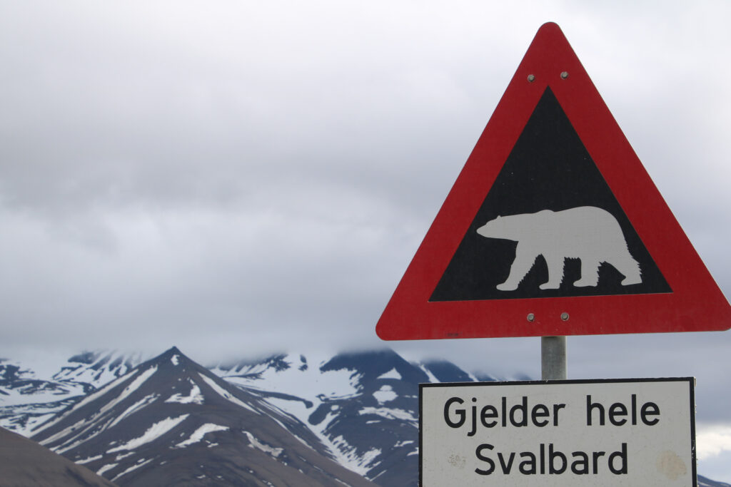 Wichtige Warnung, denn es gibt mehr Bären als Menschen