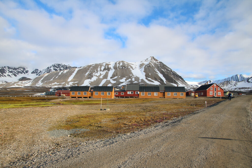 Ny Alesund