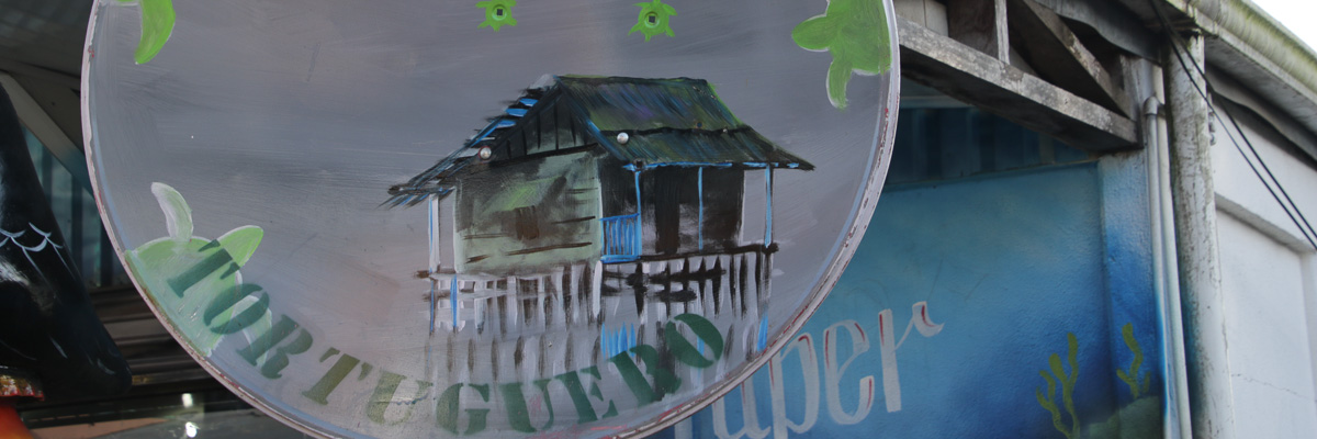 Satellitenschüssel in Tortuguero