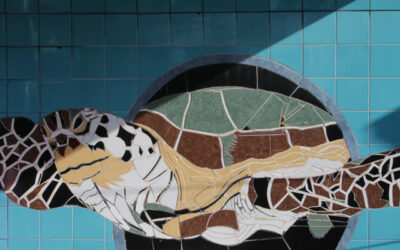 Tortuguero im Nordosten