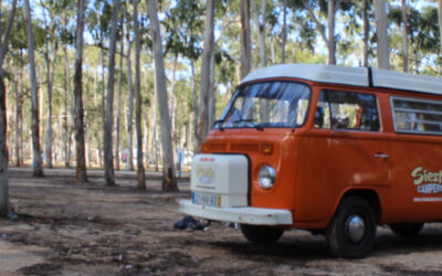 Im VW Bus an der Algarve