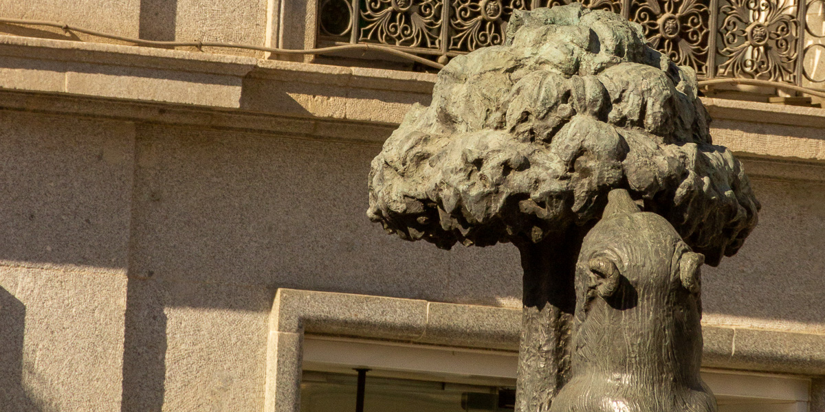 Der Bär und der Erdbeerbaum