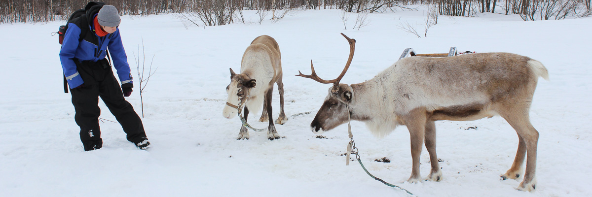 Ich bei den Rentieren