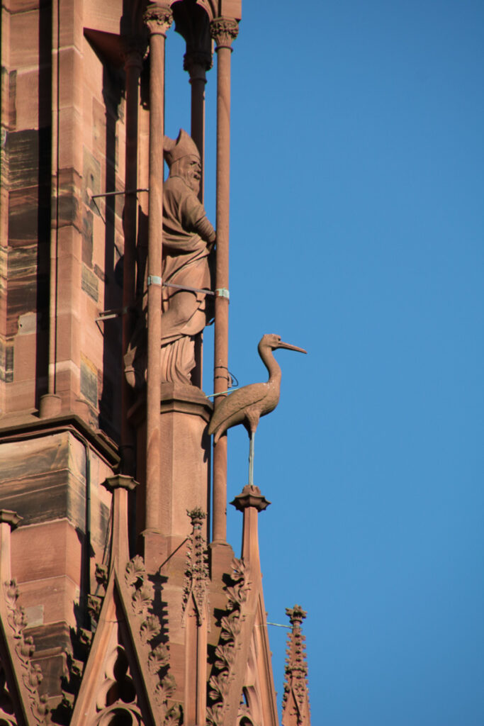 Detail des Münster, Strasbourg
