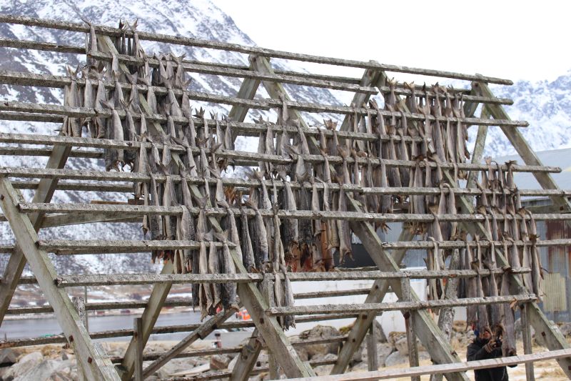 Fischkirche zum Trocknen