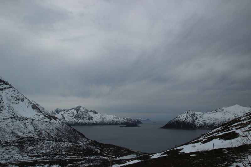 Blick auf den Fjord