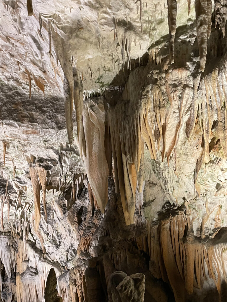 Höhle von Postojna