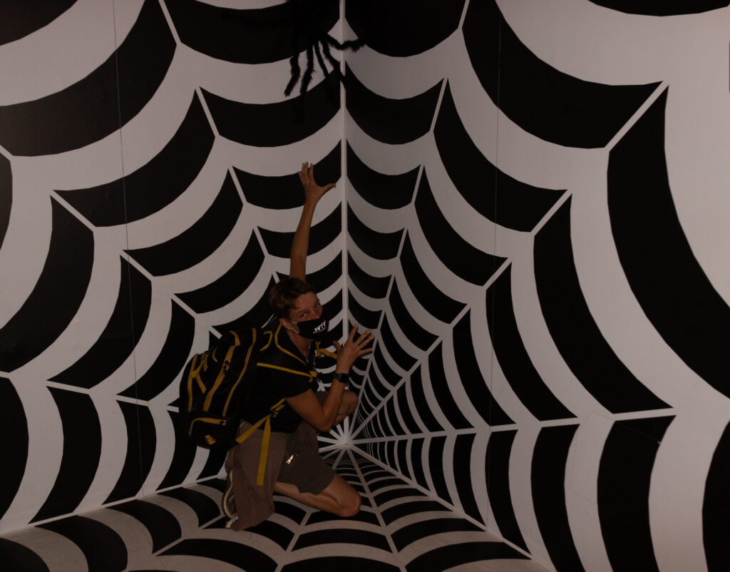 Der Spinne ins Netz gegangen