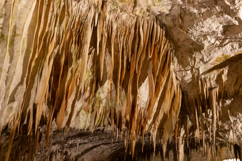 Höhle von Postojna