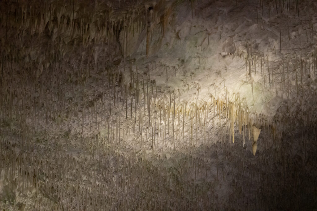 "Spaghetti"-Decke in der Höhle von Postojna
