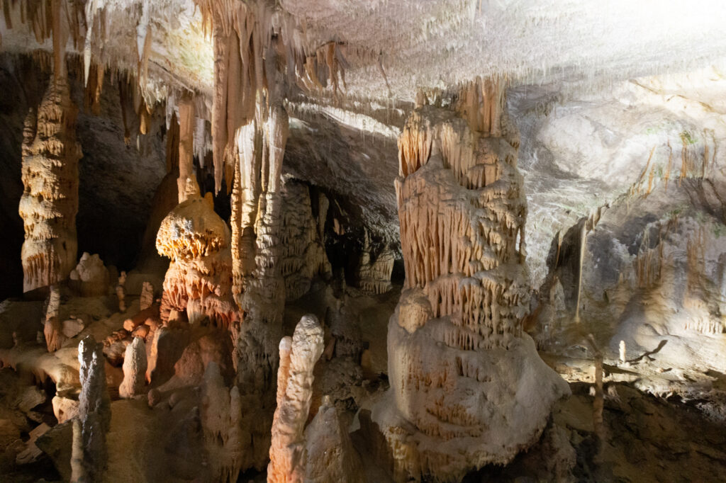 Höhle von Postojna