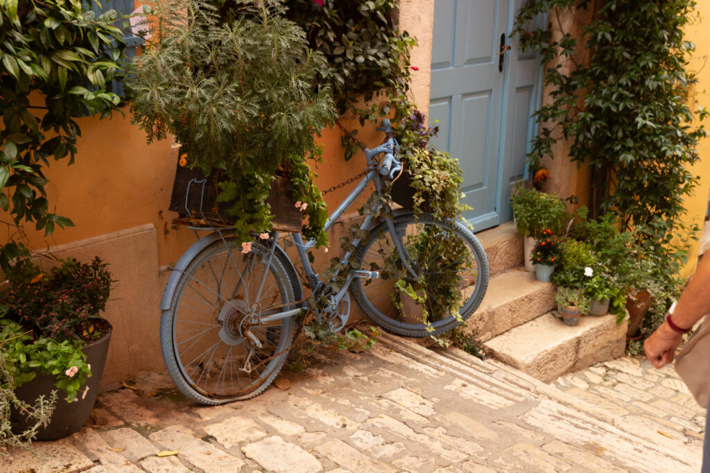 kreative Bepflanzung in Rovjin