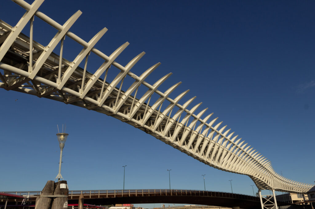 Eine Brücke wie ein Rückgrat