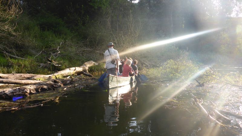 Nationalpark Donauauen