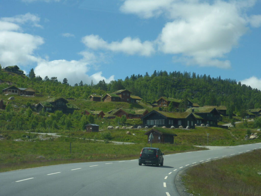 Begrünte Dächer sind in der Telemark beliebt