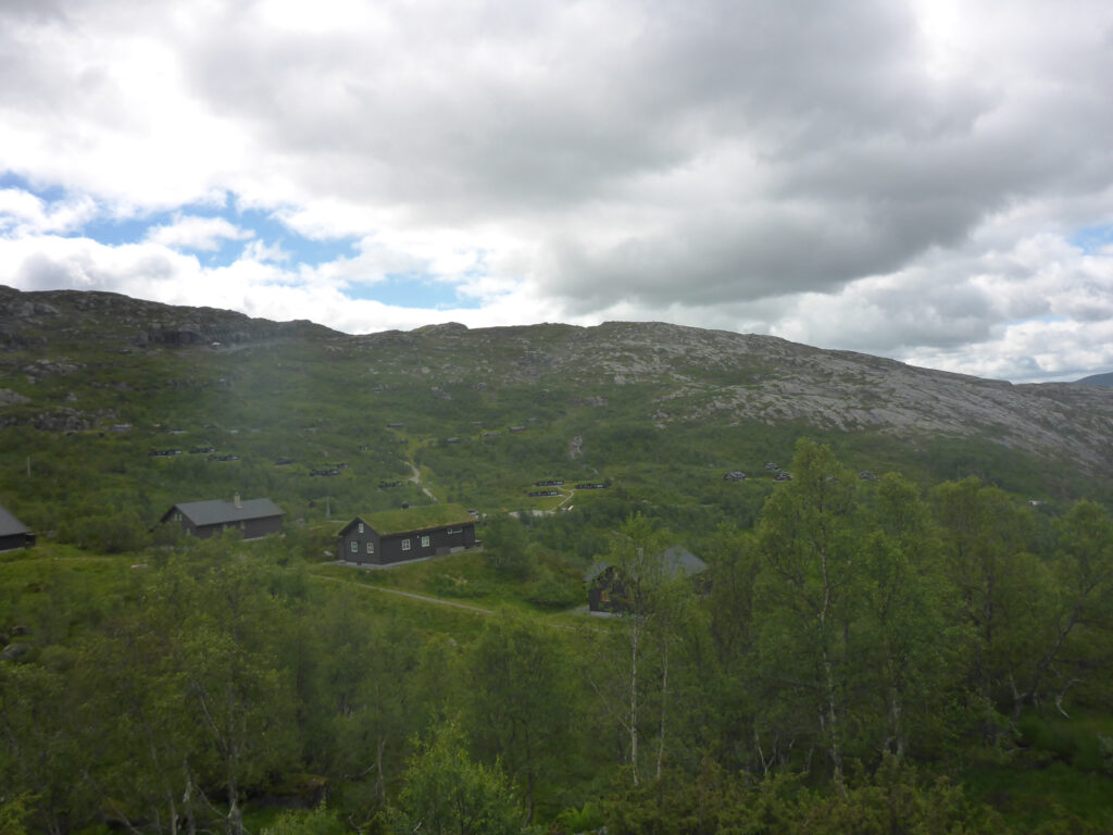 Begrünte Dächer sind beliebt