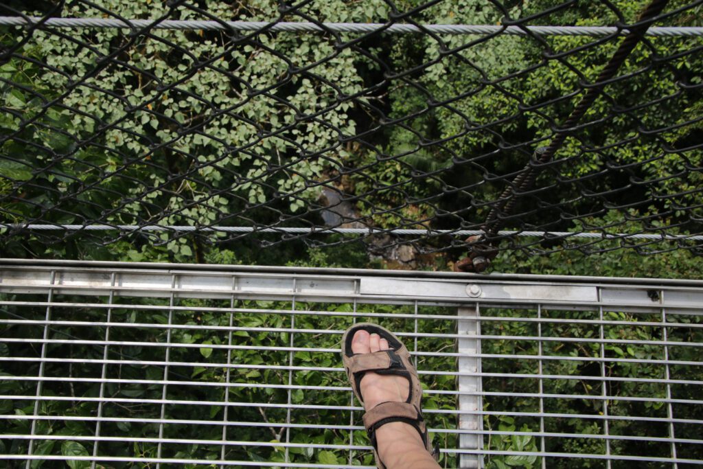 Auf einer Hängebrücke