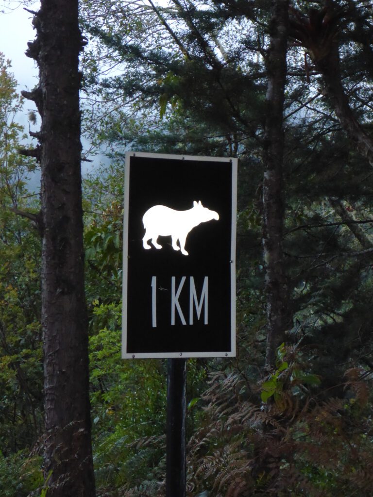 Warnschild vor Tapiren