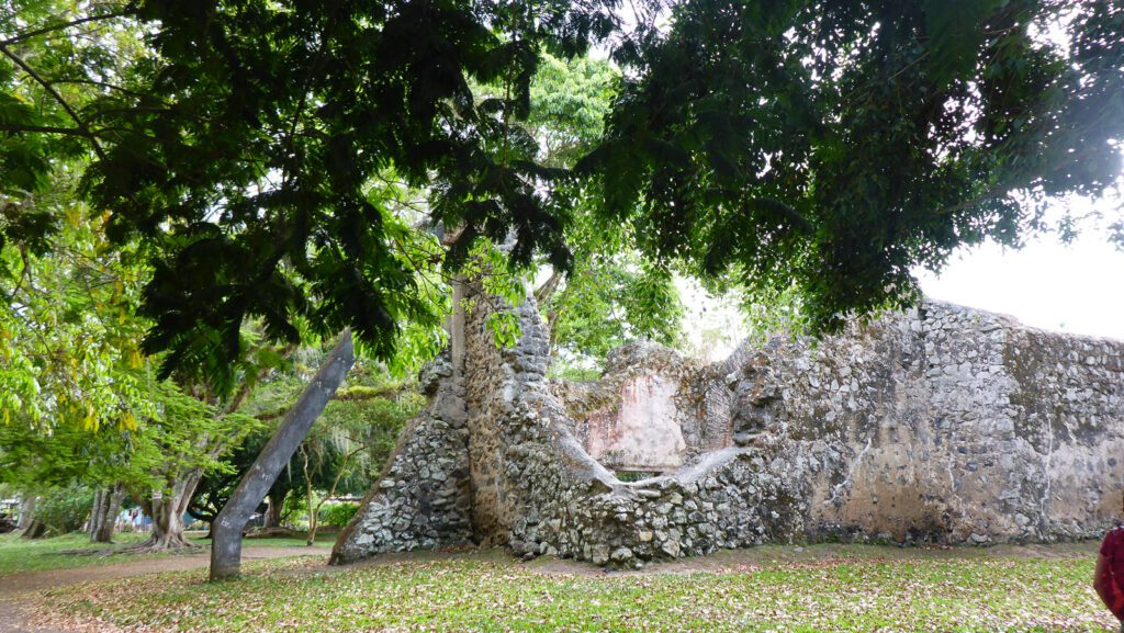 Blog_Costa Rica__P1040218_2018