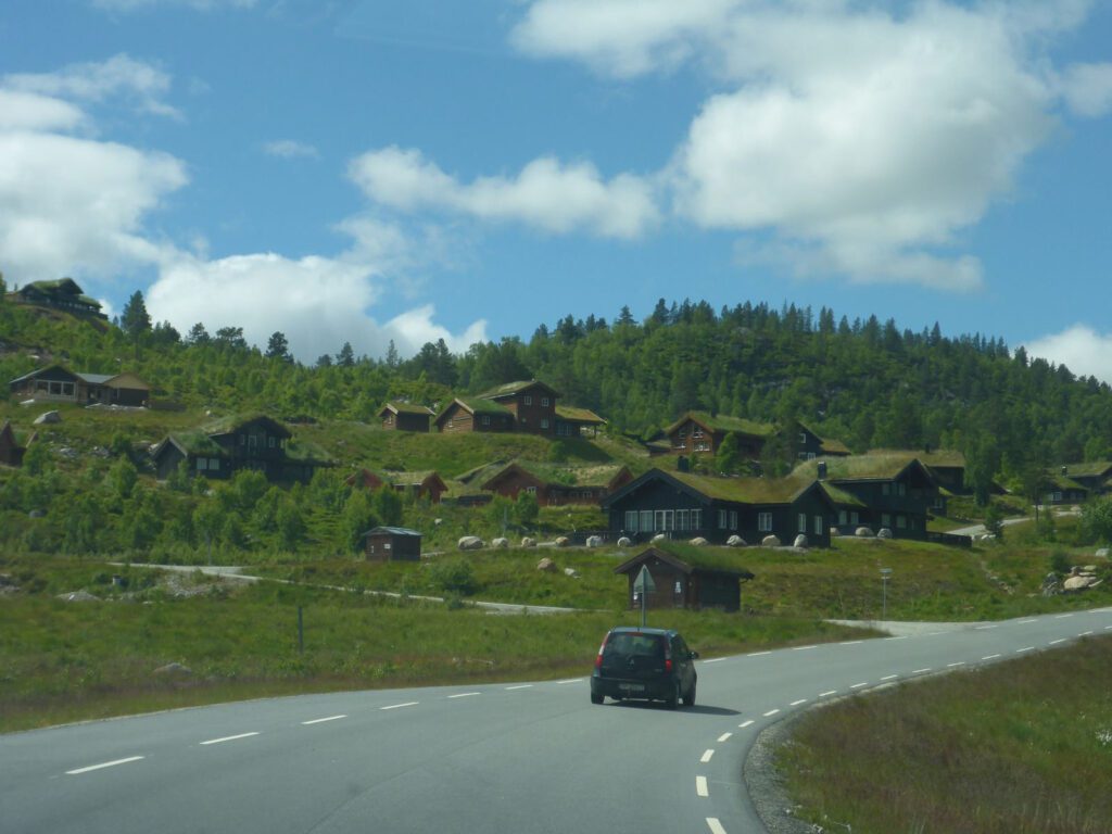 Begrünte Dächer sind in der Telemark beliebt
