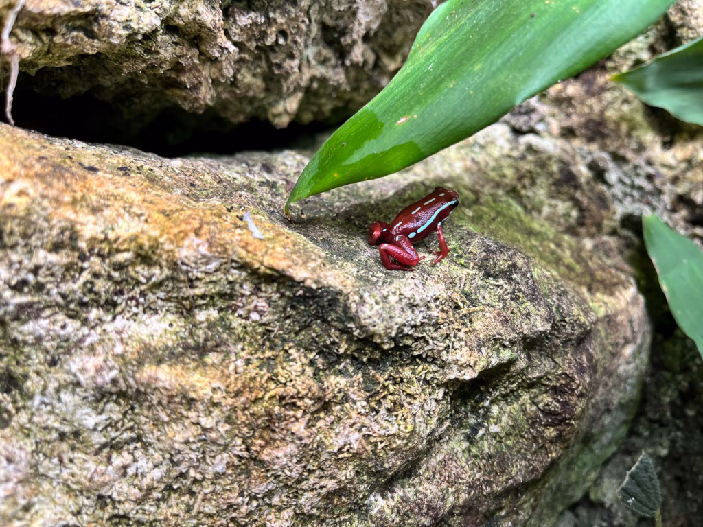 Im Botanischen Garten