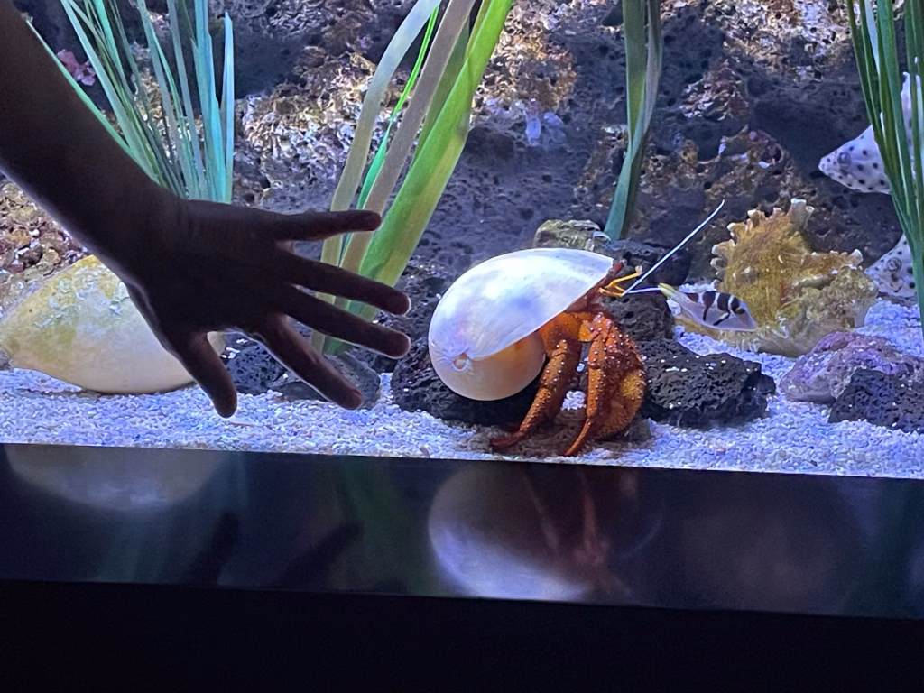Sea World Bangkok
