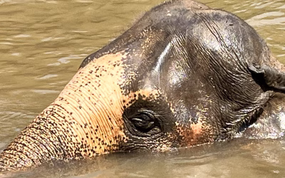 Fotos aus Kanchanaburi und Umgebung