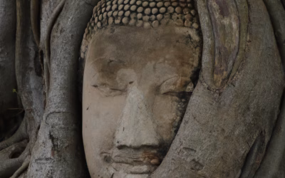 Ausflüge von Bangkok aus