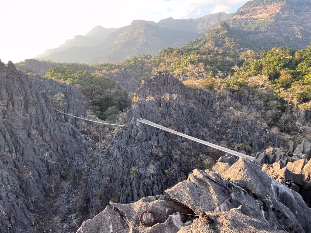 Blick auf Brücke und Spidernet