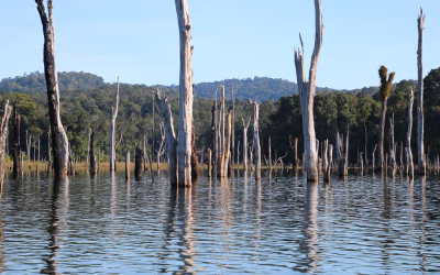 Der Thakhek Loop – Natur pur