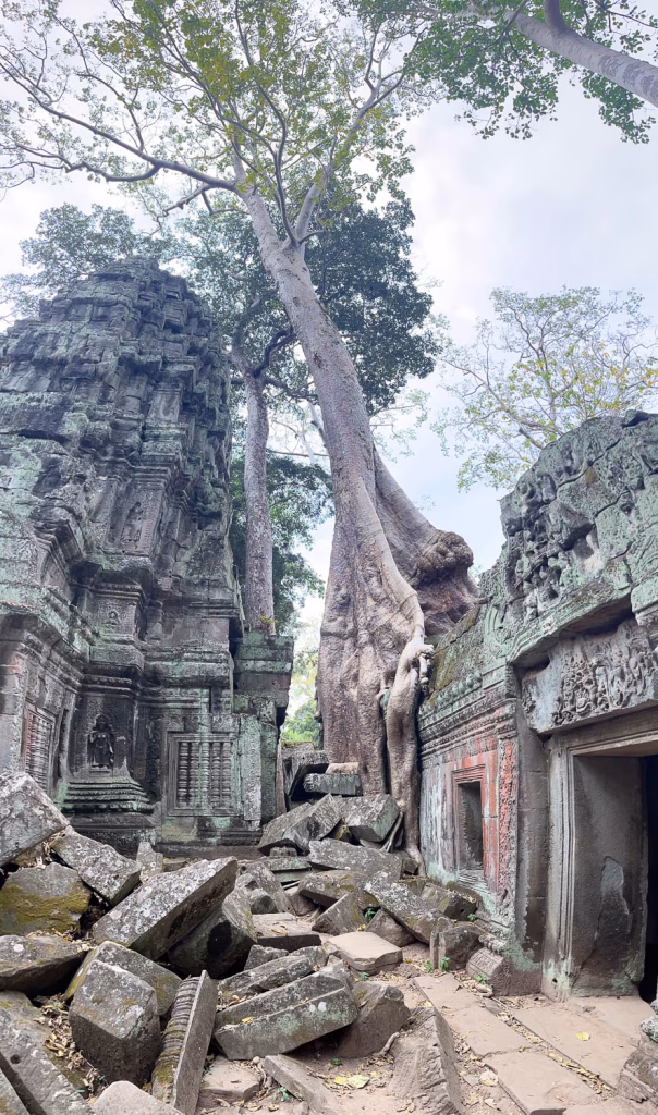 Tha Prohm Tempel