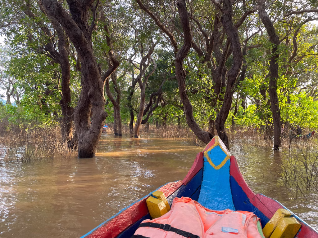 In den Mangroven des Tonle Sap
