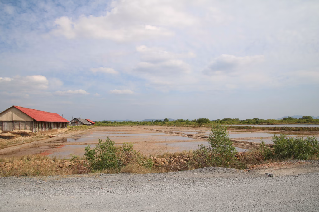 Salzfelder in Kampot