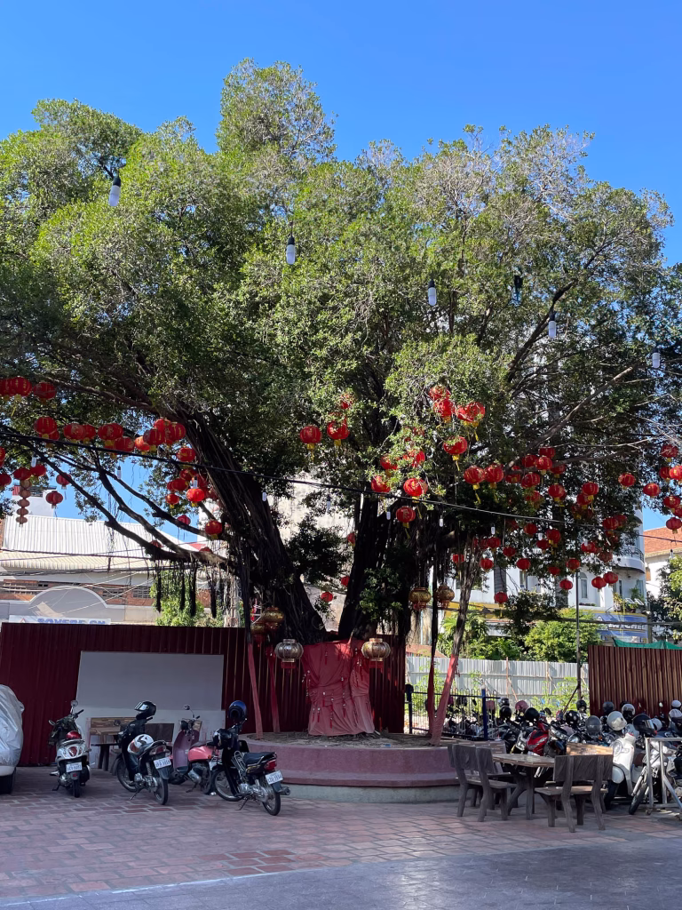 Baum vorm chinesischen Tempel