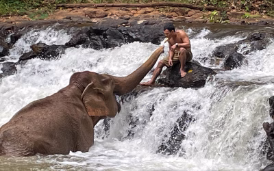 Fotos aus Sen Monorom und Kratie