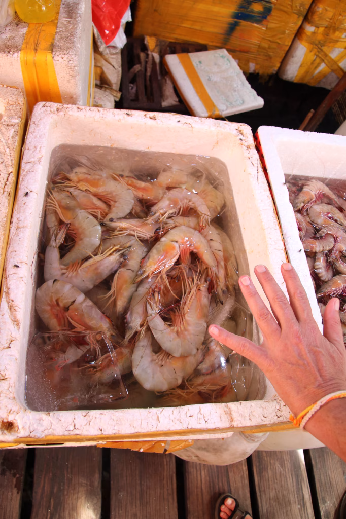 Am Krabbenmarkt in Kep