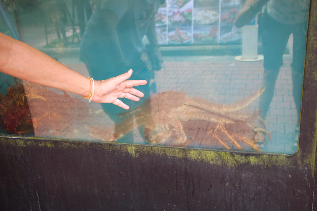 Solche Kaliber werden am Boats Quay zum Essen angeboten