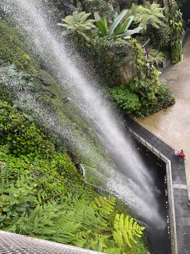 Blick auf den Wasserfall im Cloud Forest