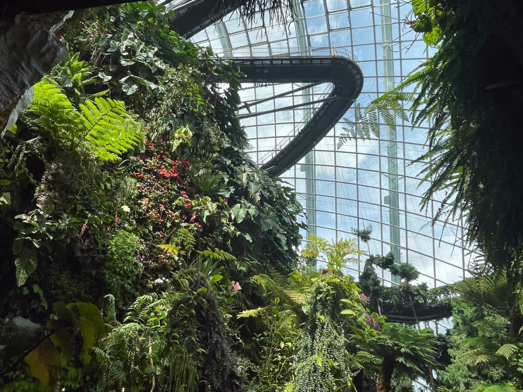 Kuppel des Cloud Forest