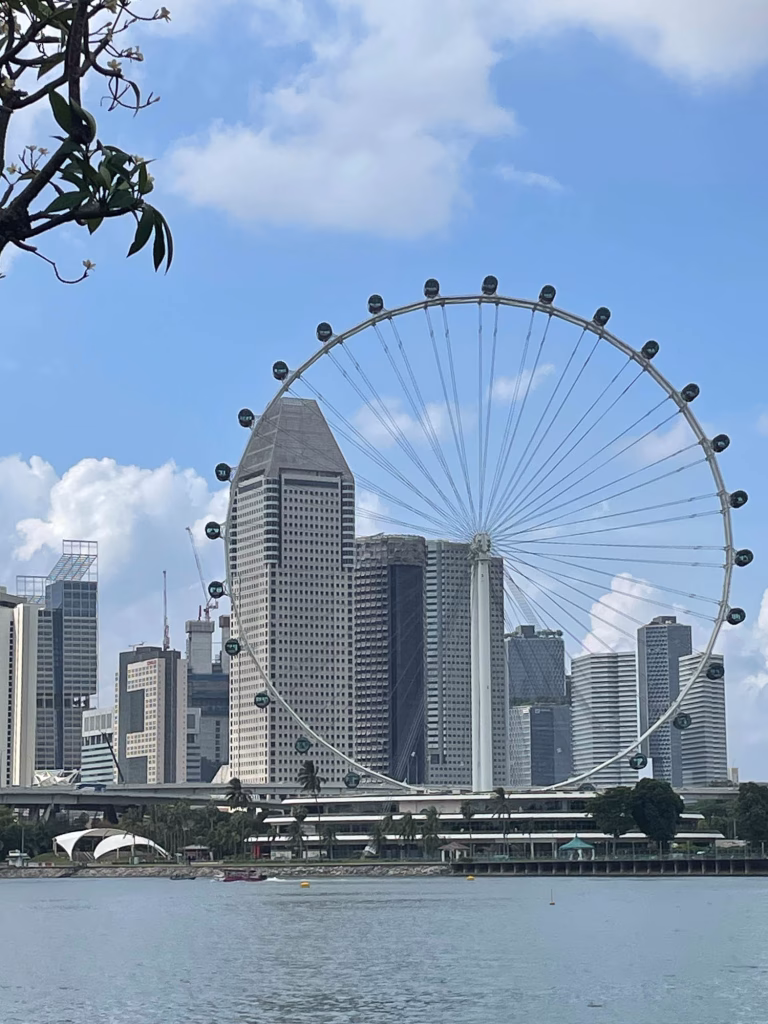 Singapore Flyer vor Wolkenkratzern